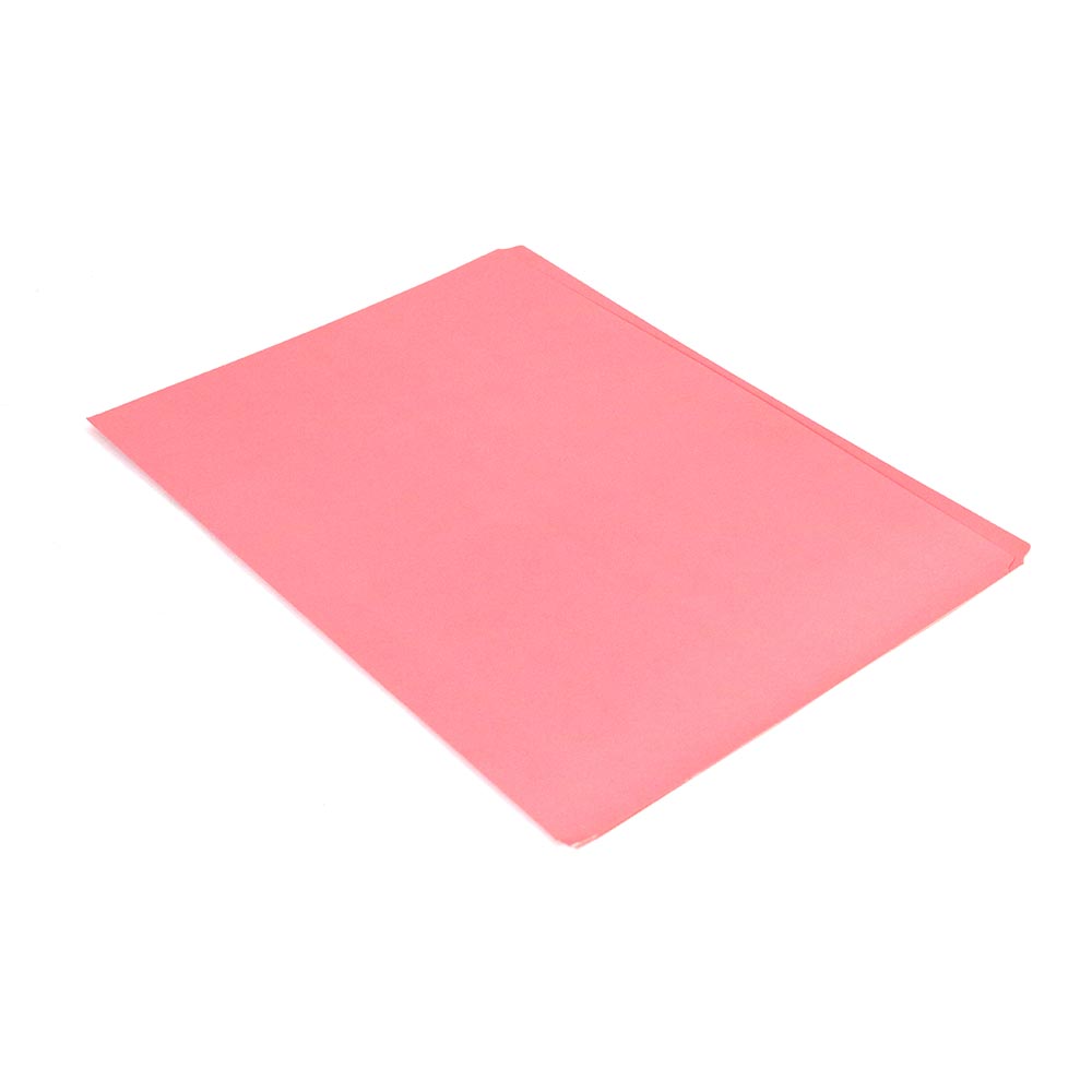 Folder Manila A4 Colores Varios - Imagen 4